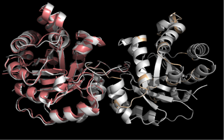  BIOQUÍMICA I  19-I