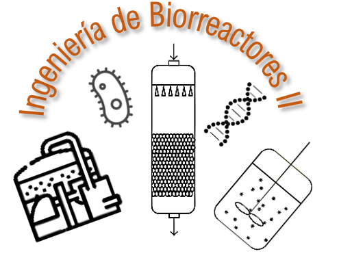 23-I Ingeniería de Biorreactores II - CK01IB