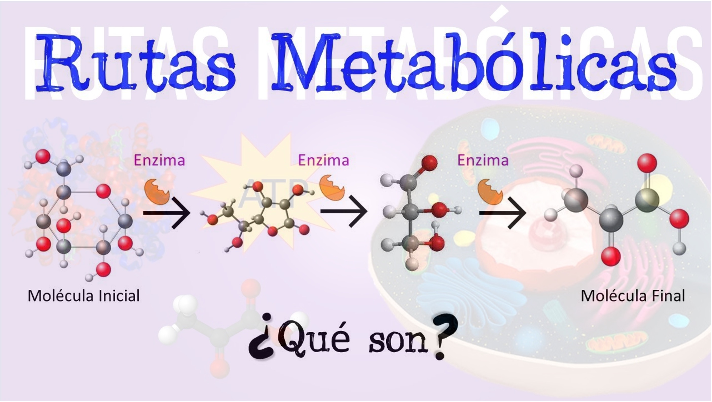 24-P BIOQUÍMICA II - CC01BM