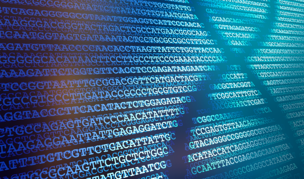 25 - O Bioinformática II