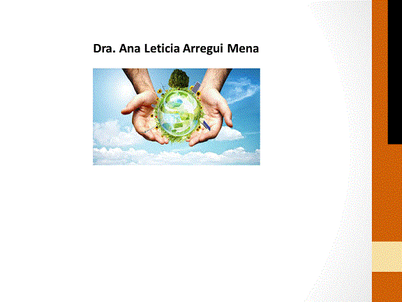 26-I Seminario de Sustentabilidad [PAEA]