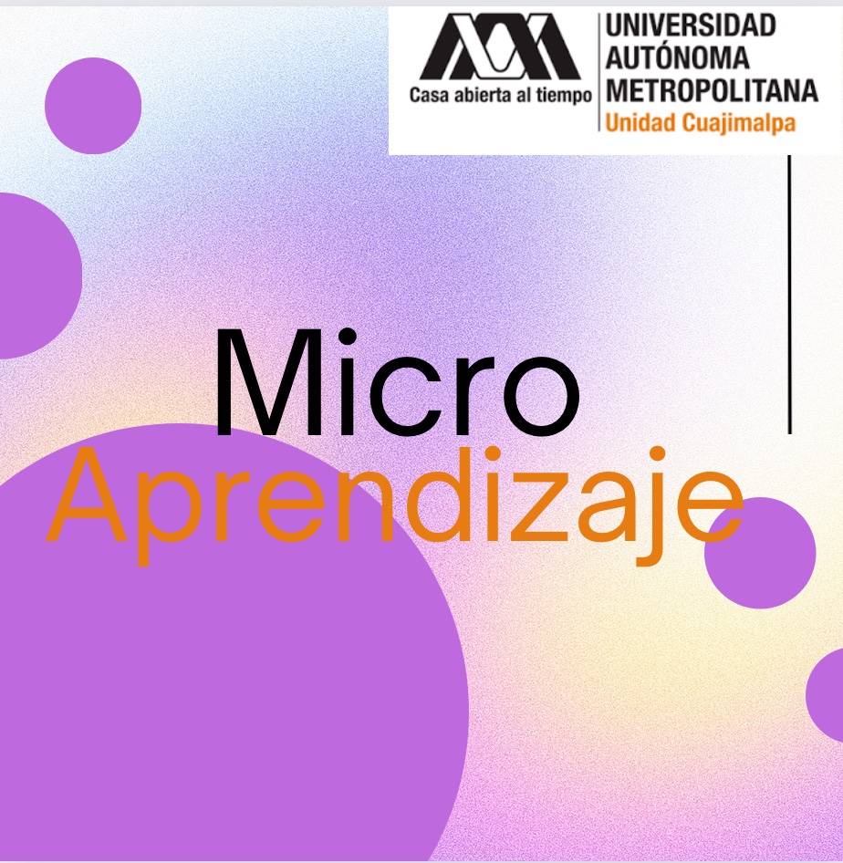 25-P Microaprendizaje