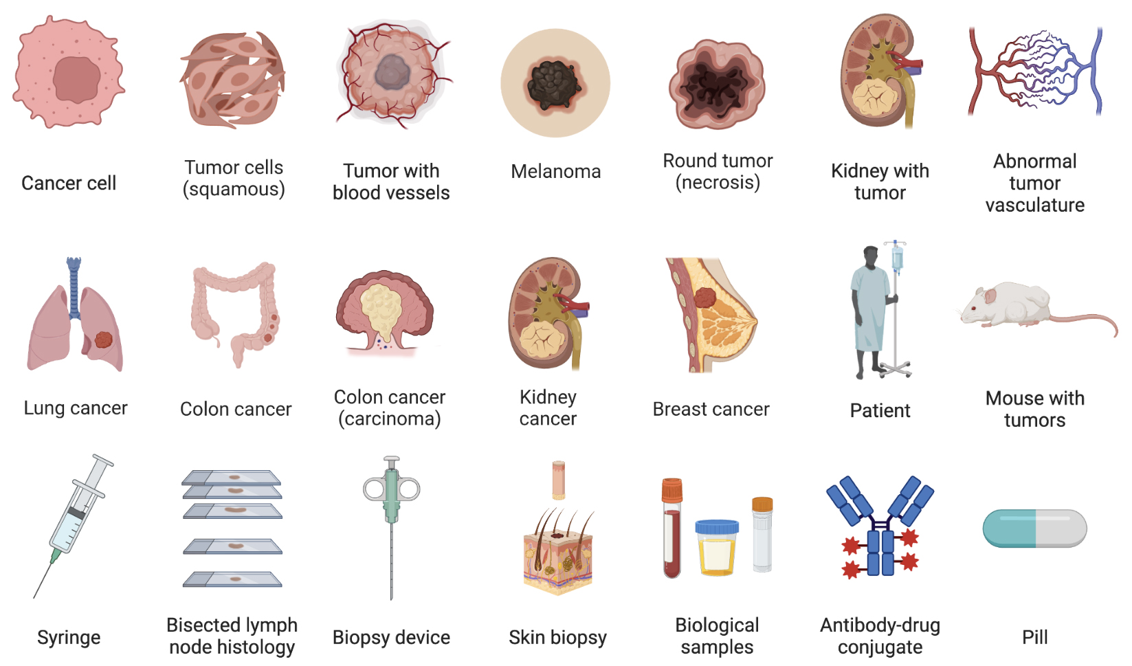 26-I TEMAS SELECTOS EN BIOMEDICINA I Y II (OncologíaMolecular.) - CJ01BM