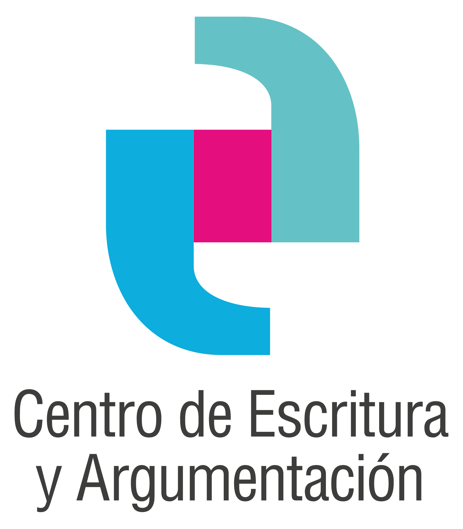 Taller de Formación de Compañeros de Escritura